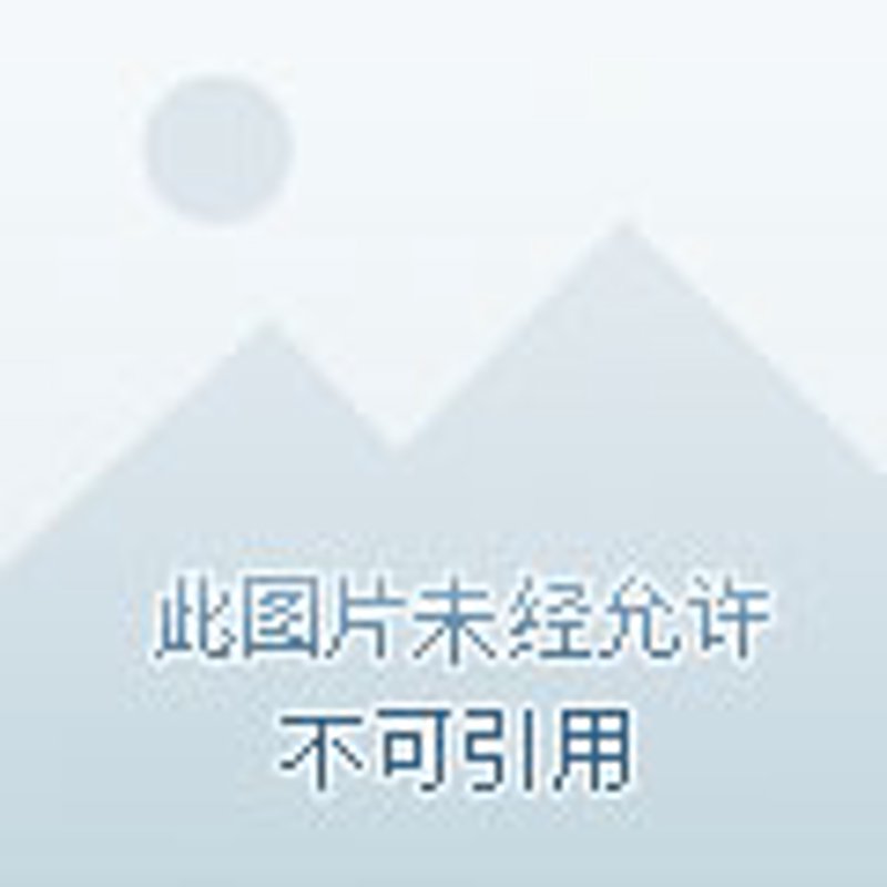 探秘天堂纪念网：在线缅怀的新篇章